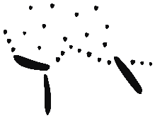 Image of the occurrence